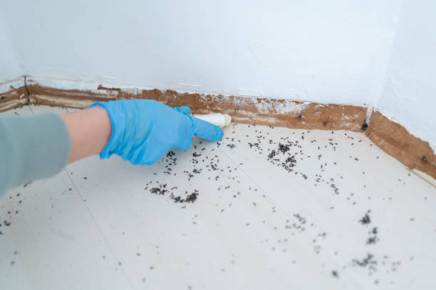 Best Pest Exclusion Services  in Massapequa Park, NY